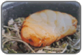 Dolsot Fish Bop